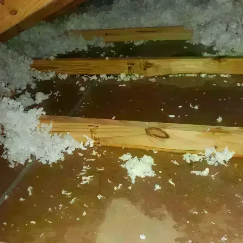 Attic Water Damage in Nichols Hills, OK