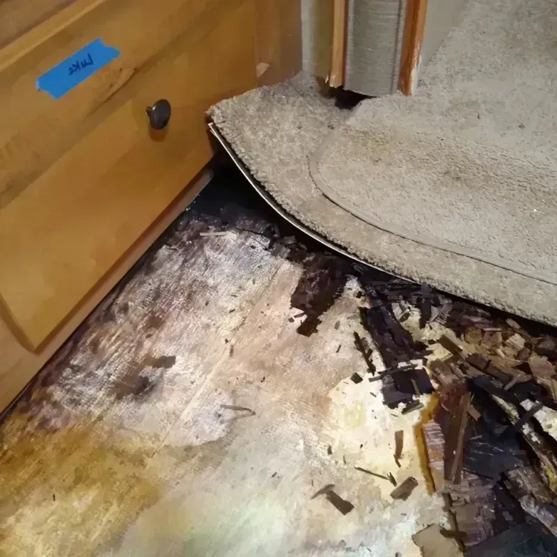 Wood Floor Water Damage in Nichols Hills, OK